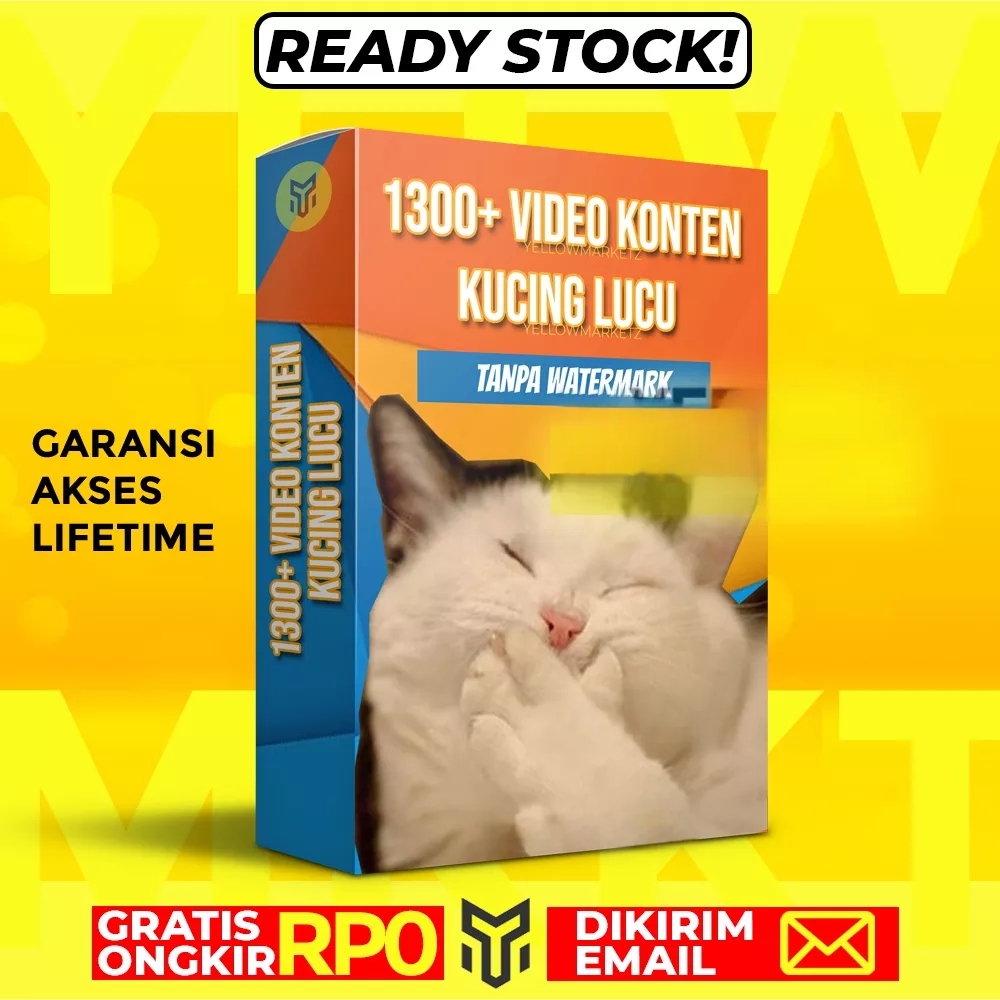1300+-video-konten-kucing-lucu---konten-video-tingkah-unik-kucing-viral